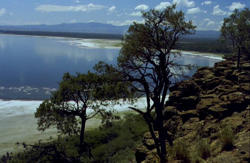 Naivasha Lakeside Lodge